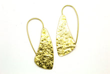 Load image into Gallery viewer, Rani earrings RAS021G